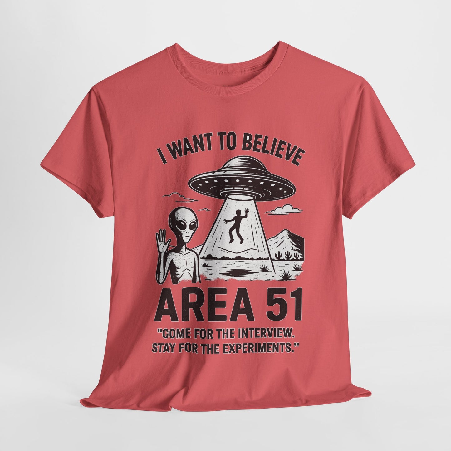 Interviews & Experiments