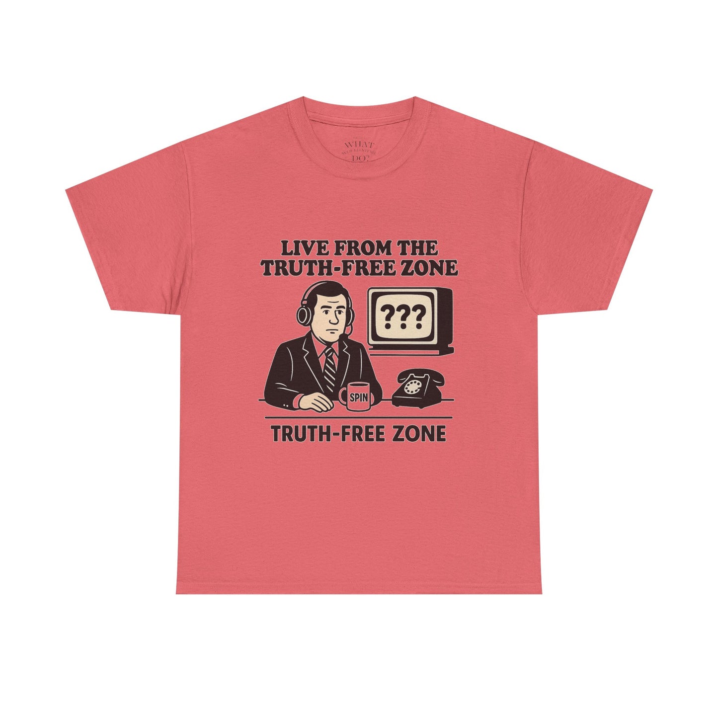 Fake News - Truth-Free Zone