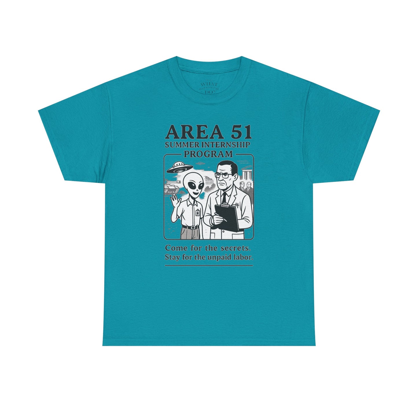 Area 51 Summer Internship
