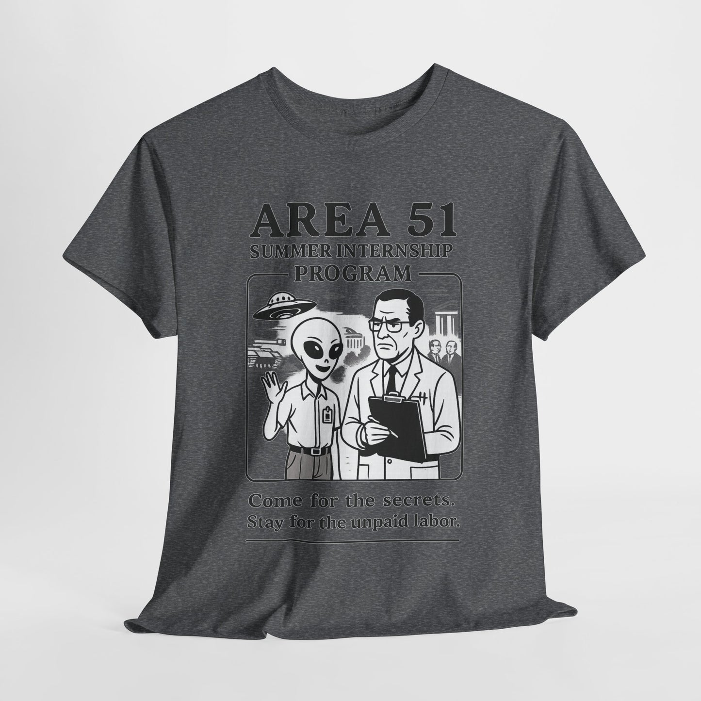 Area 51 Summer Internship