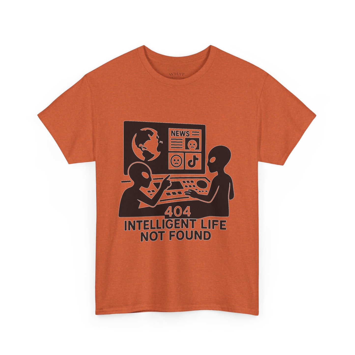 404: Intelligent Life Not Found