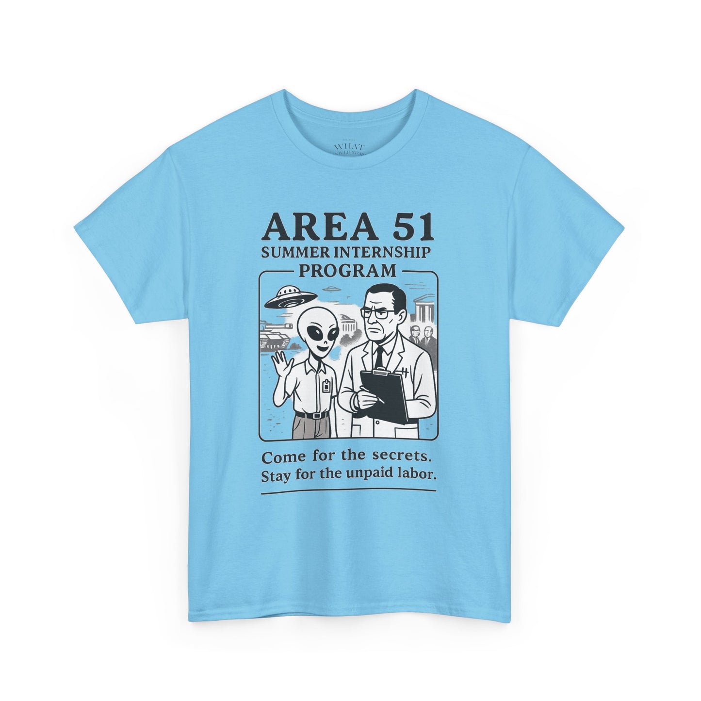 Area 51 Summer Internship