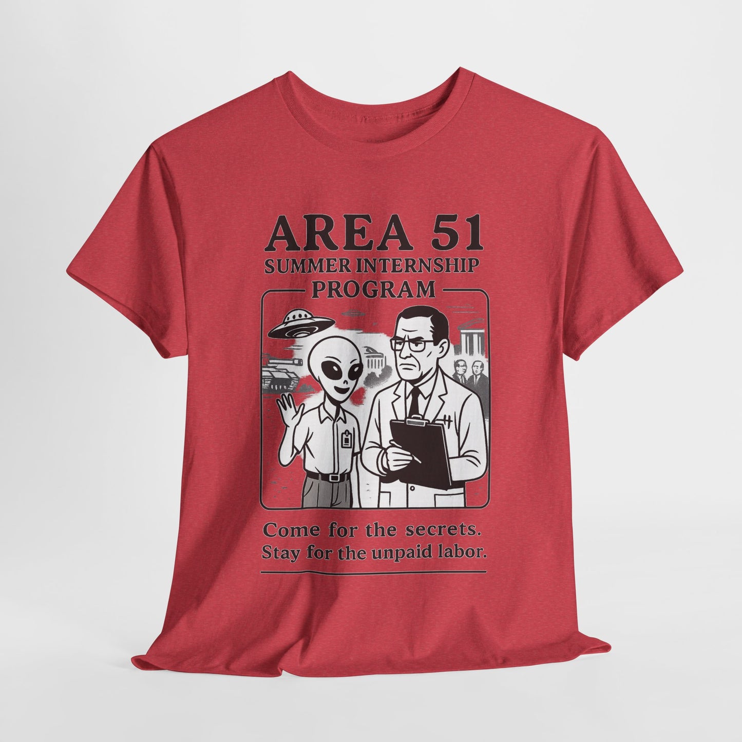 Area 51 Summer Internship