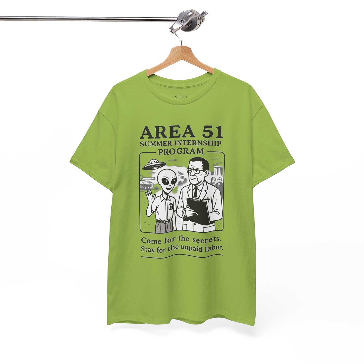 Area 51 Summer Internship