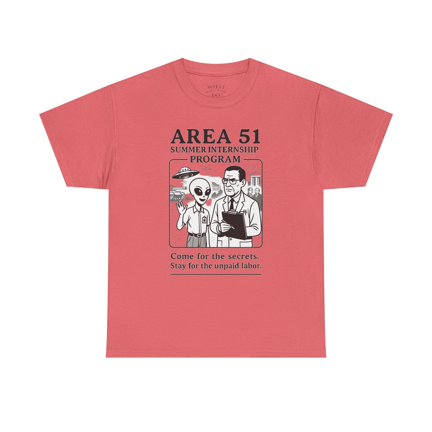 Area 51 Summer Internship