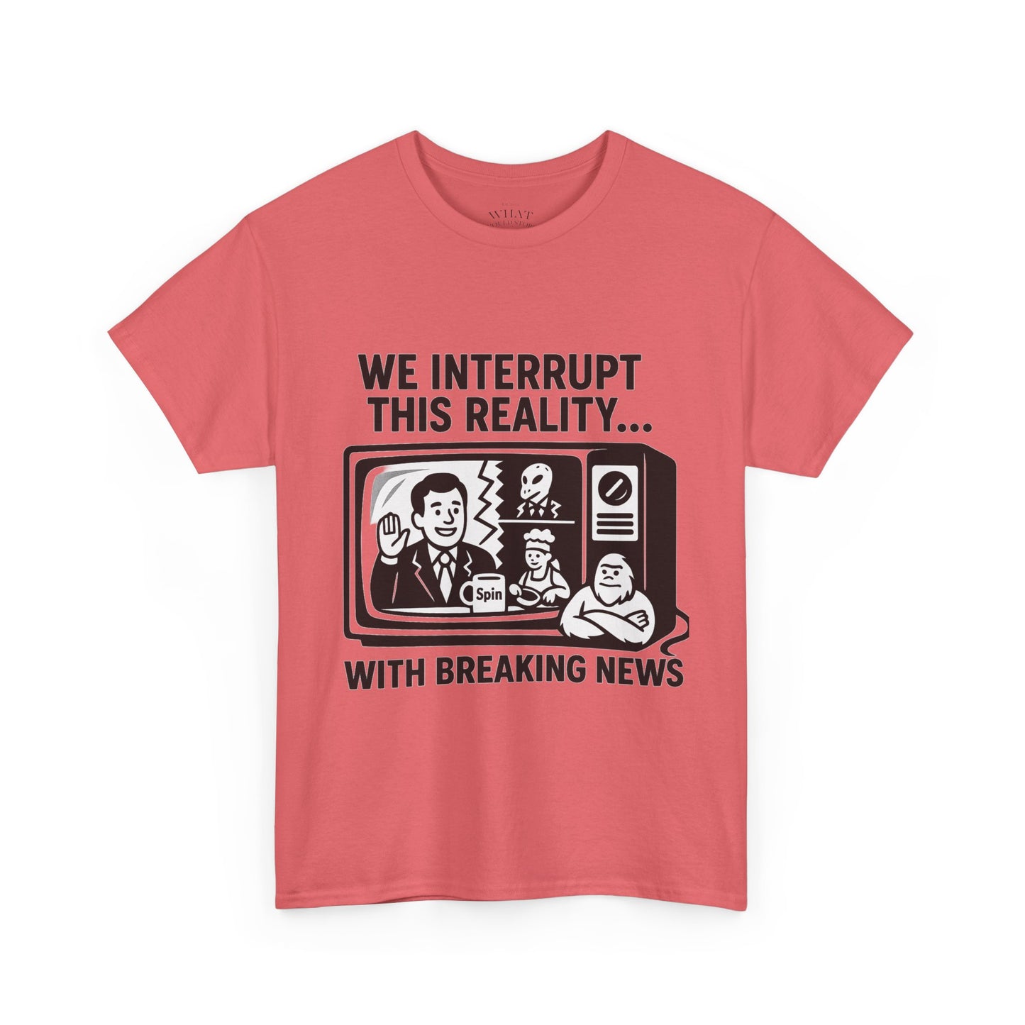 Fake News - Interrupt Reality