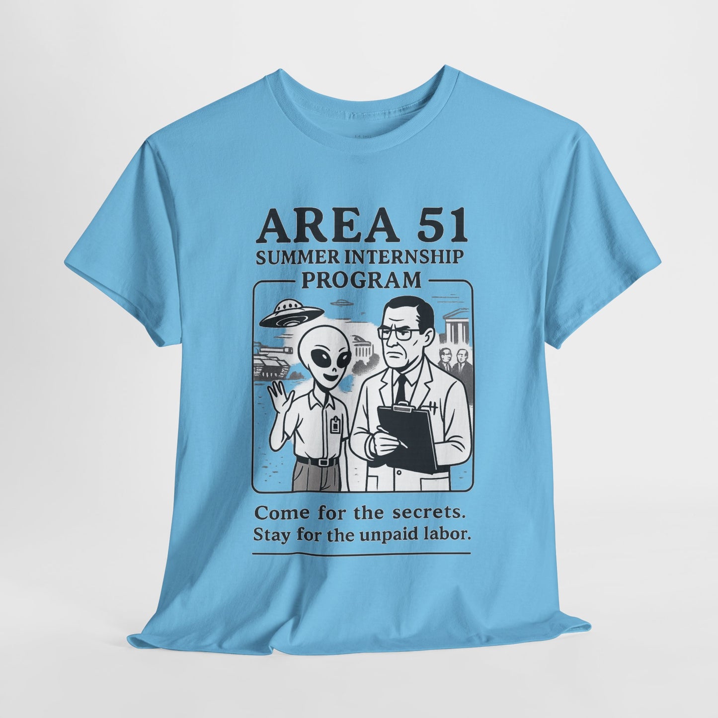 Area 51 Summer Internship