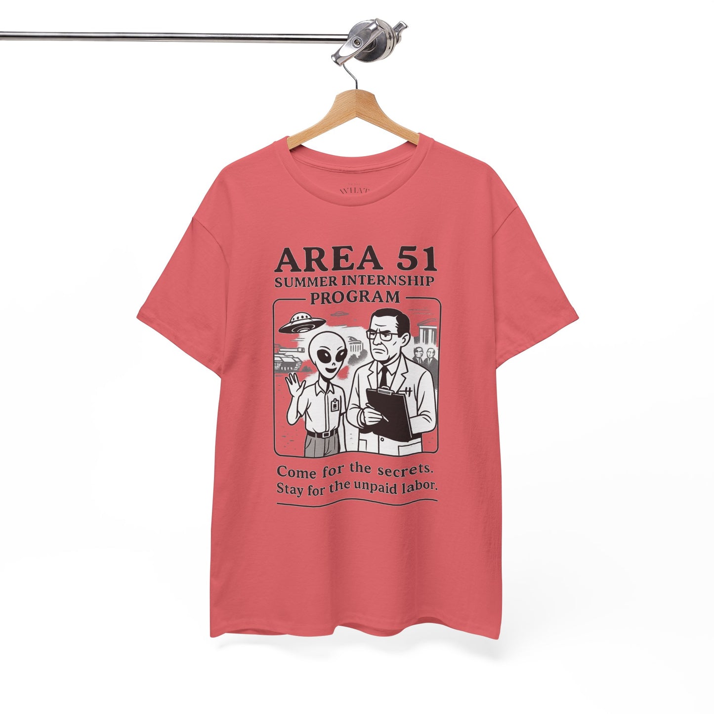 Area 51 Summer Internship