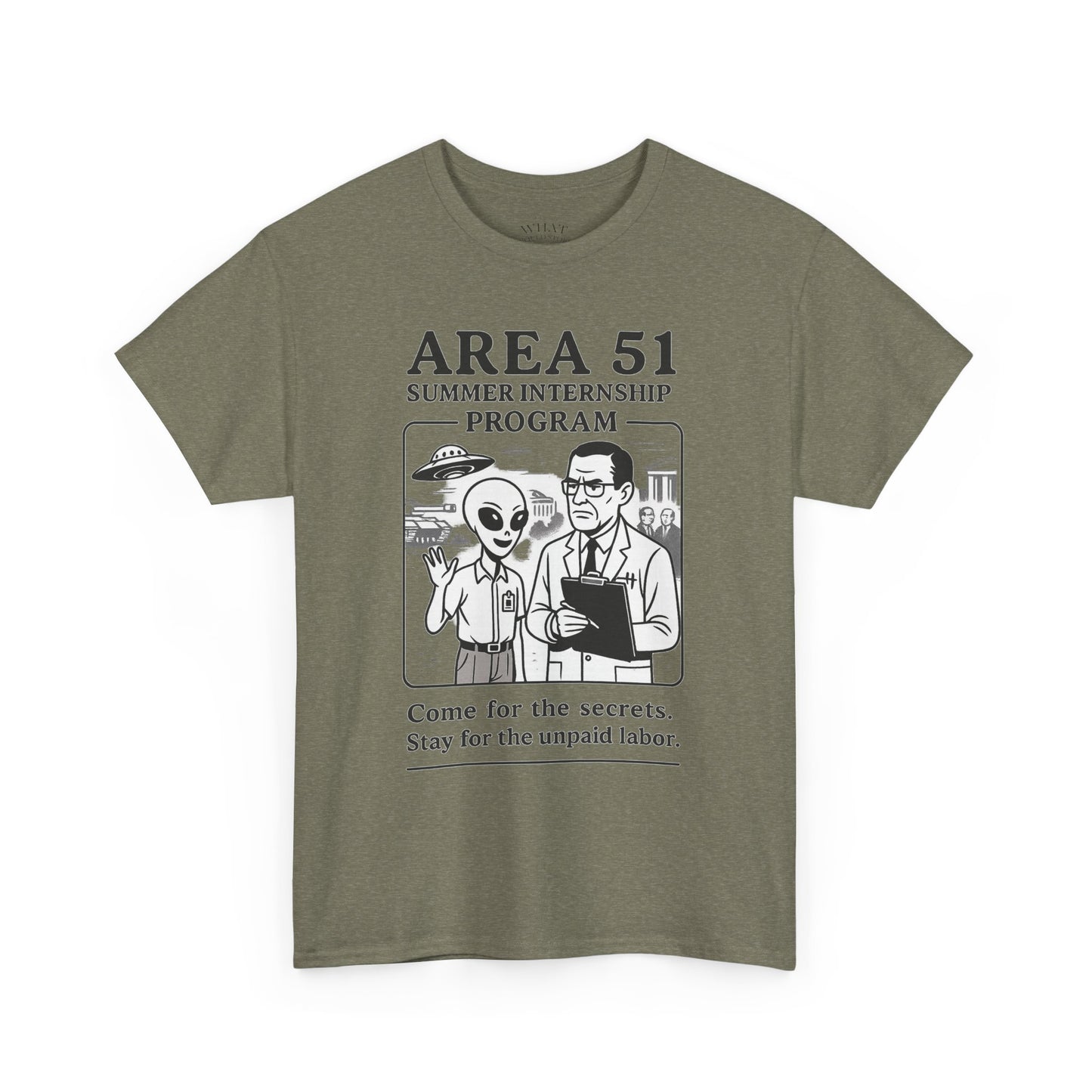 Area 51 Summer Internship