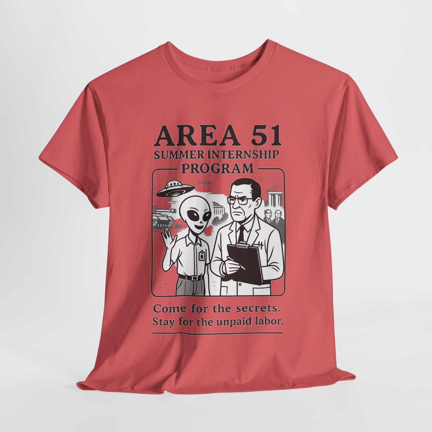 Area 51 Summer Internship