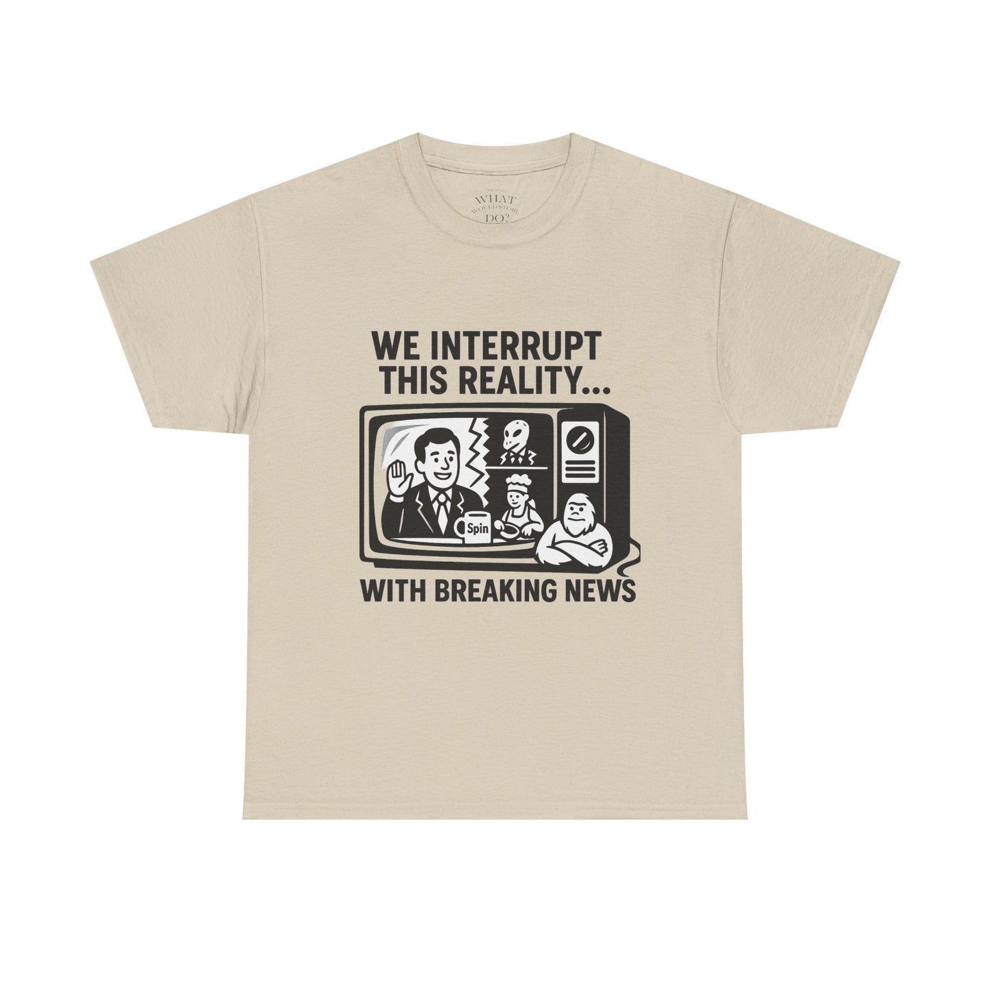 Fake News - Interrupt Reality
