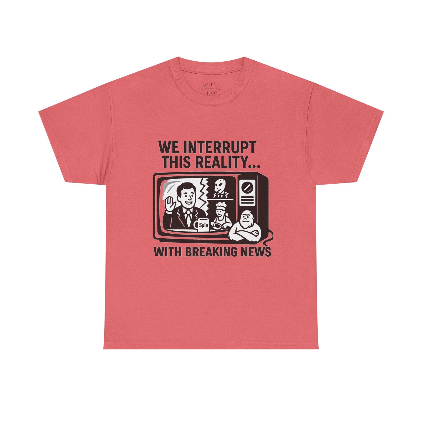 Fake News - Interrupt Reality