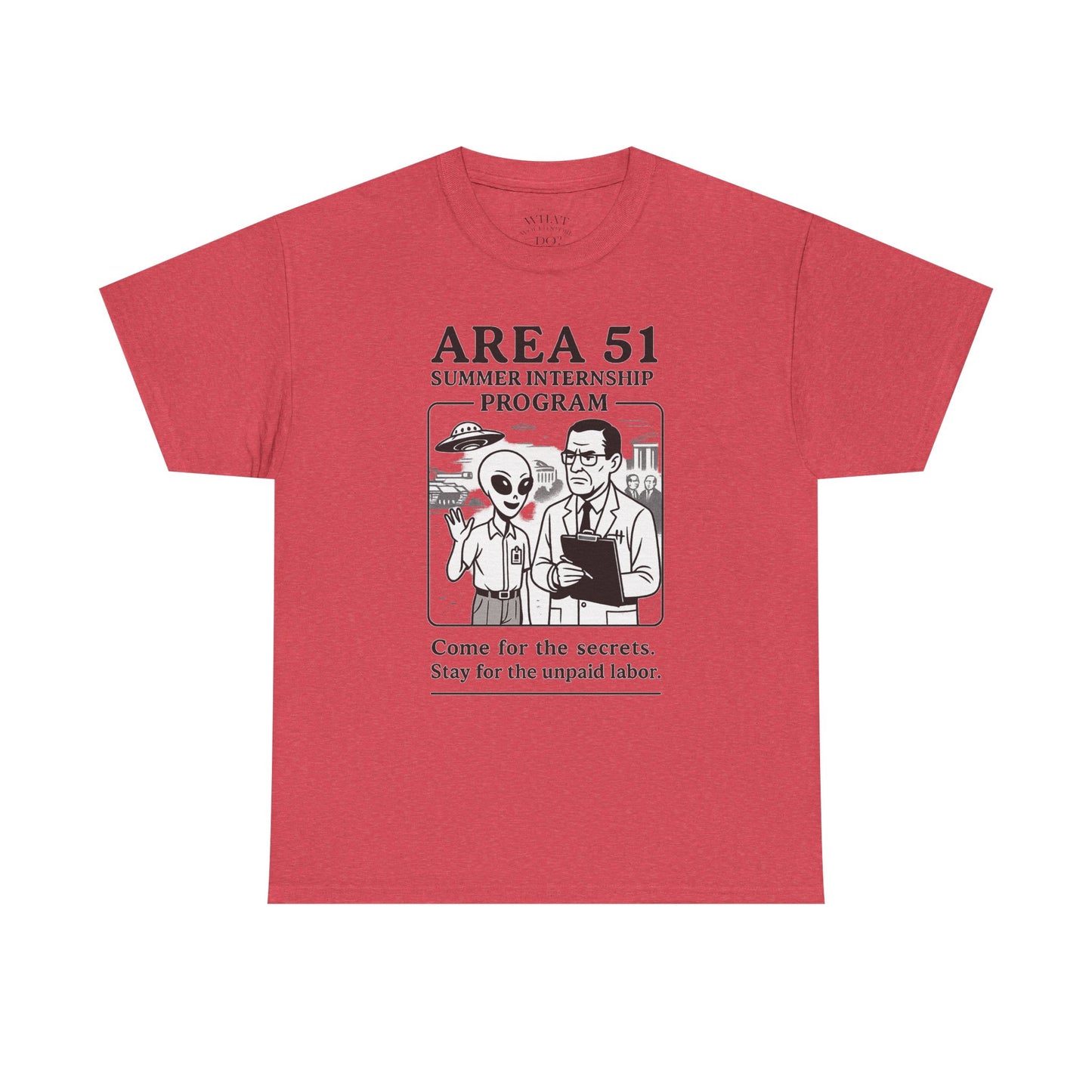 Area 51 Summer Internship