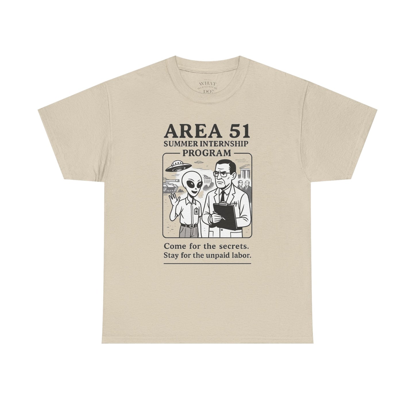 Area 51 Summer Internship