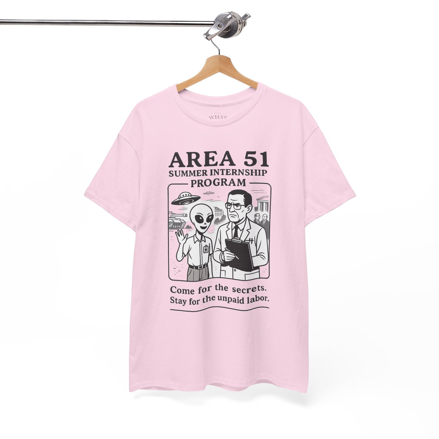 Area 51 Summer Internship