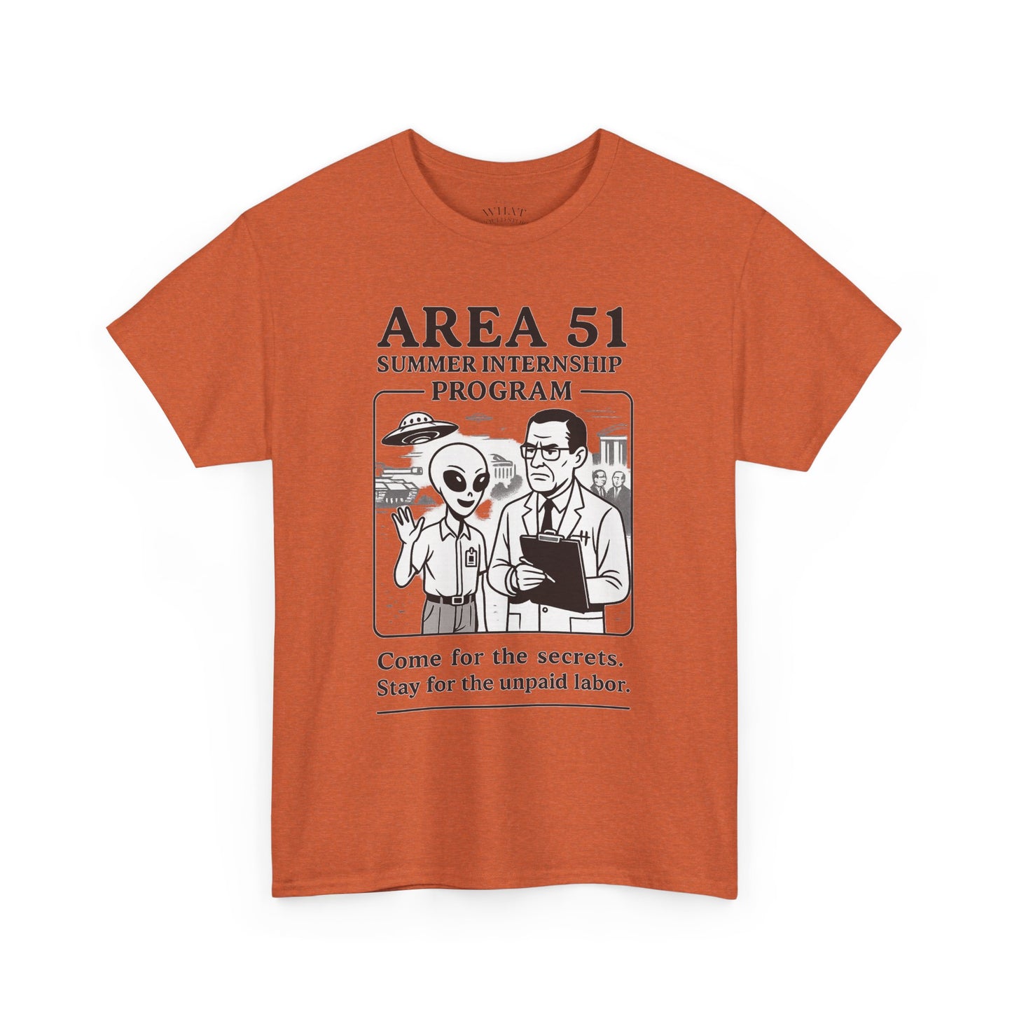 Area 51 Summer Internship