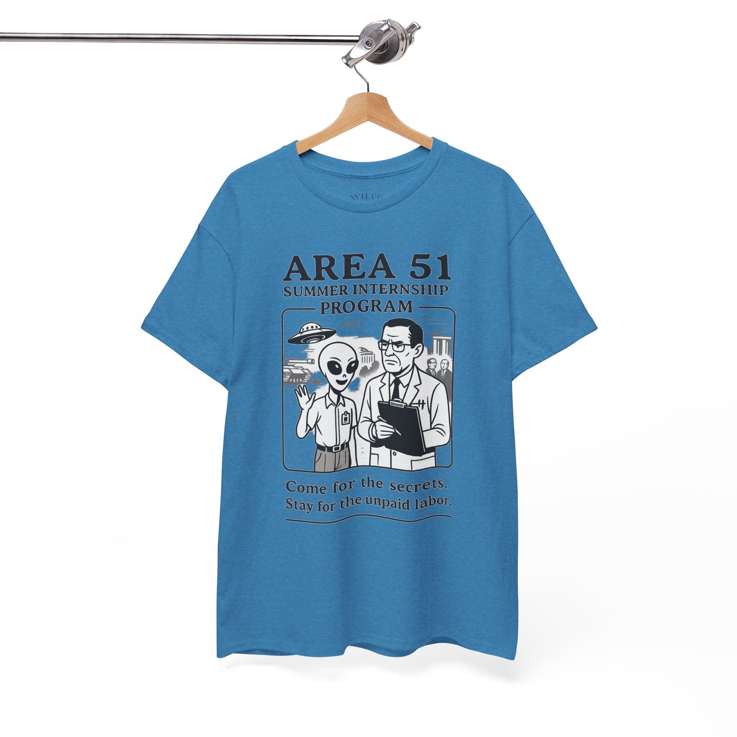 Area 51 Summer Internship