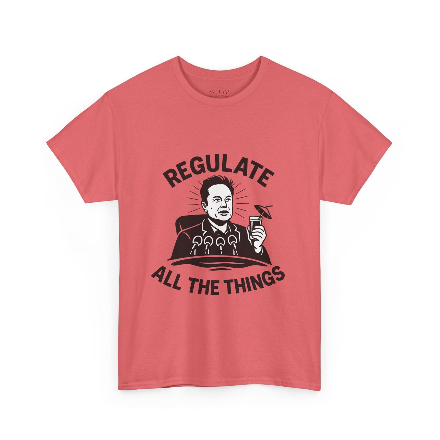 Elon The Regulator?