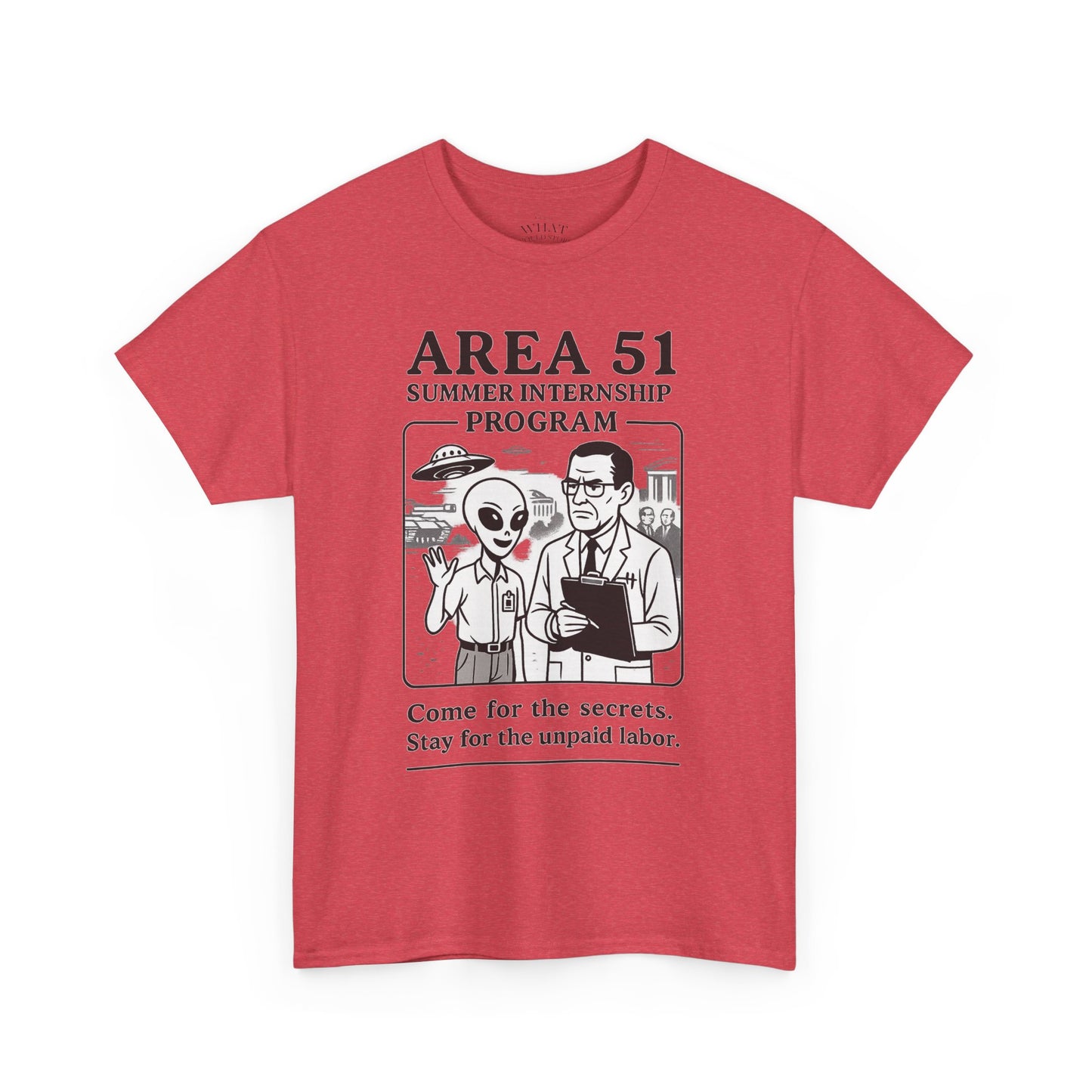 Area 51 Summer Internship