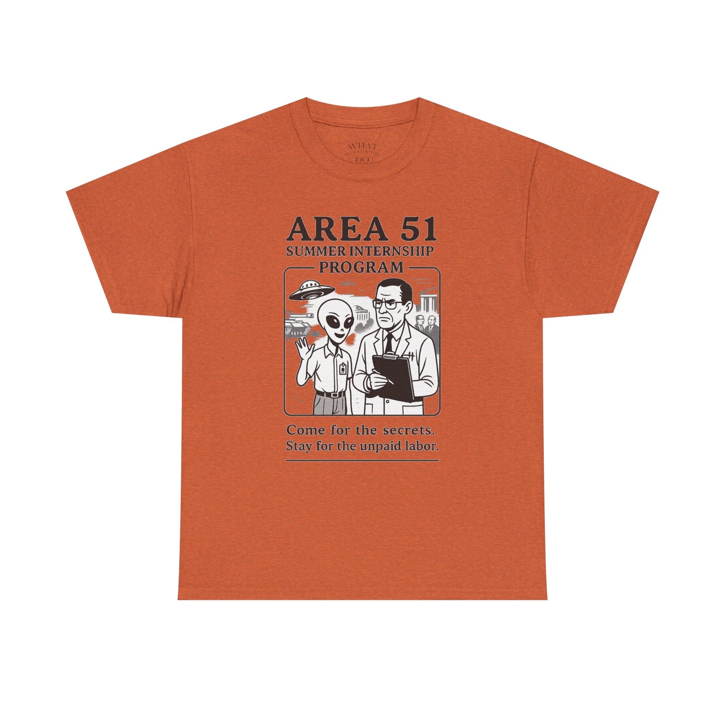 Area 51 Summer Internship