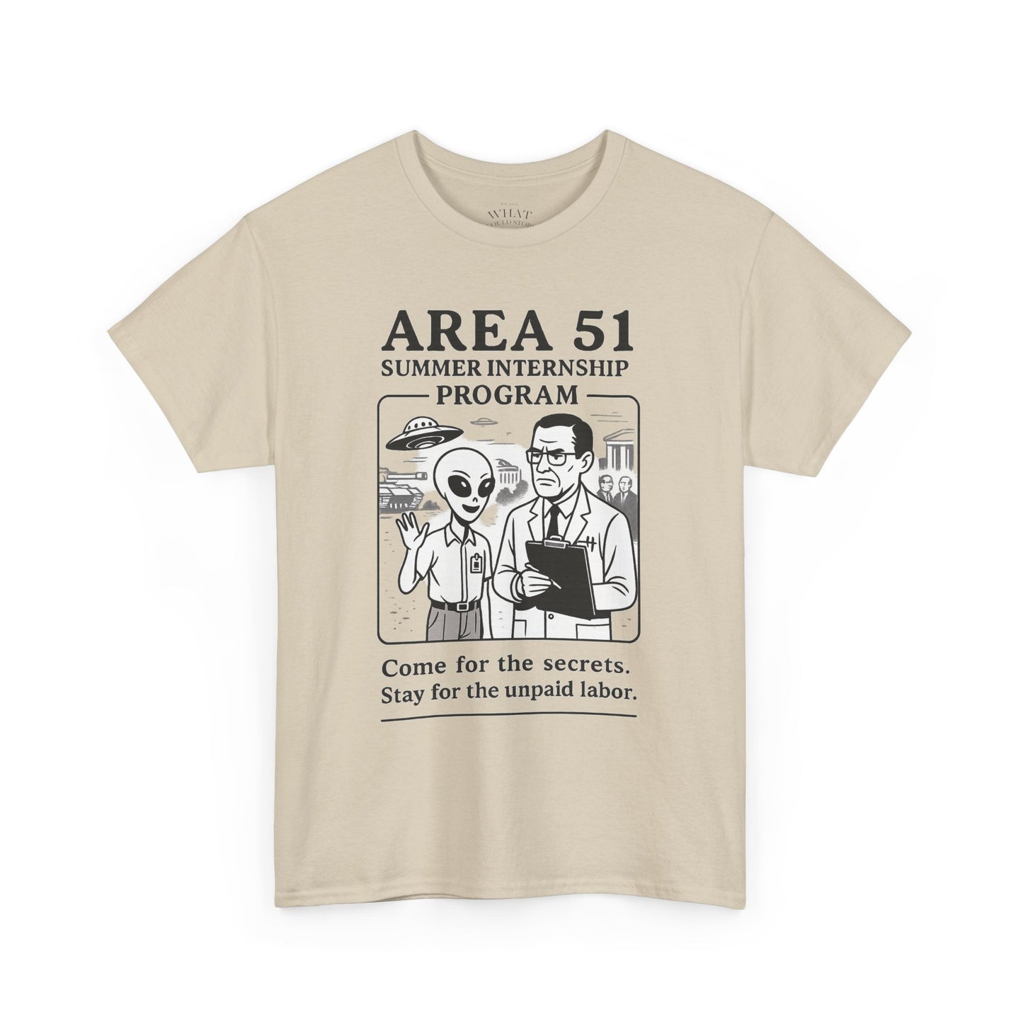 Area 51 Summer Internship