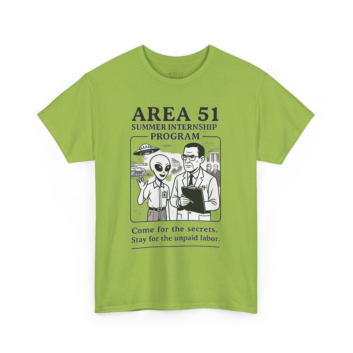 Area 51 Summer Internship