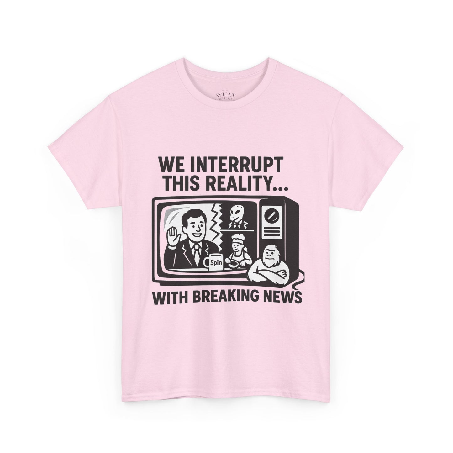 Fake News - Interrupt Reality
