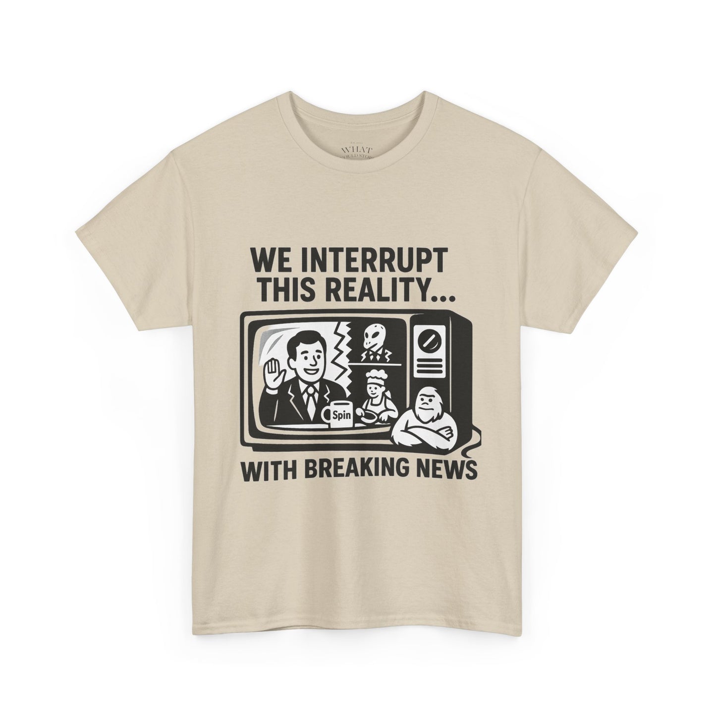 Fake News - Interrupt Reality