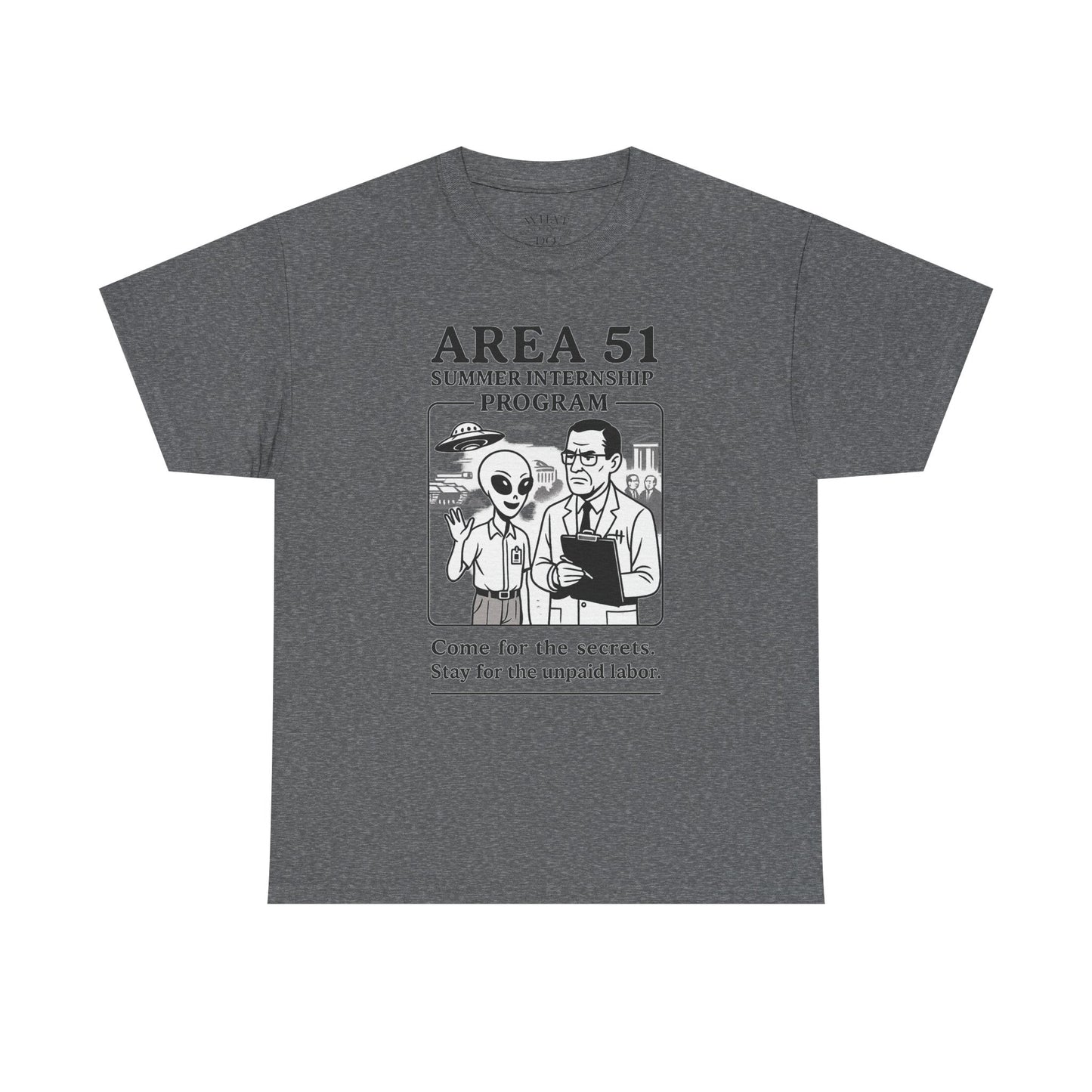 Area 51 Summer Internship