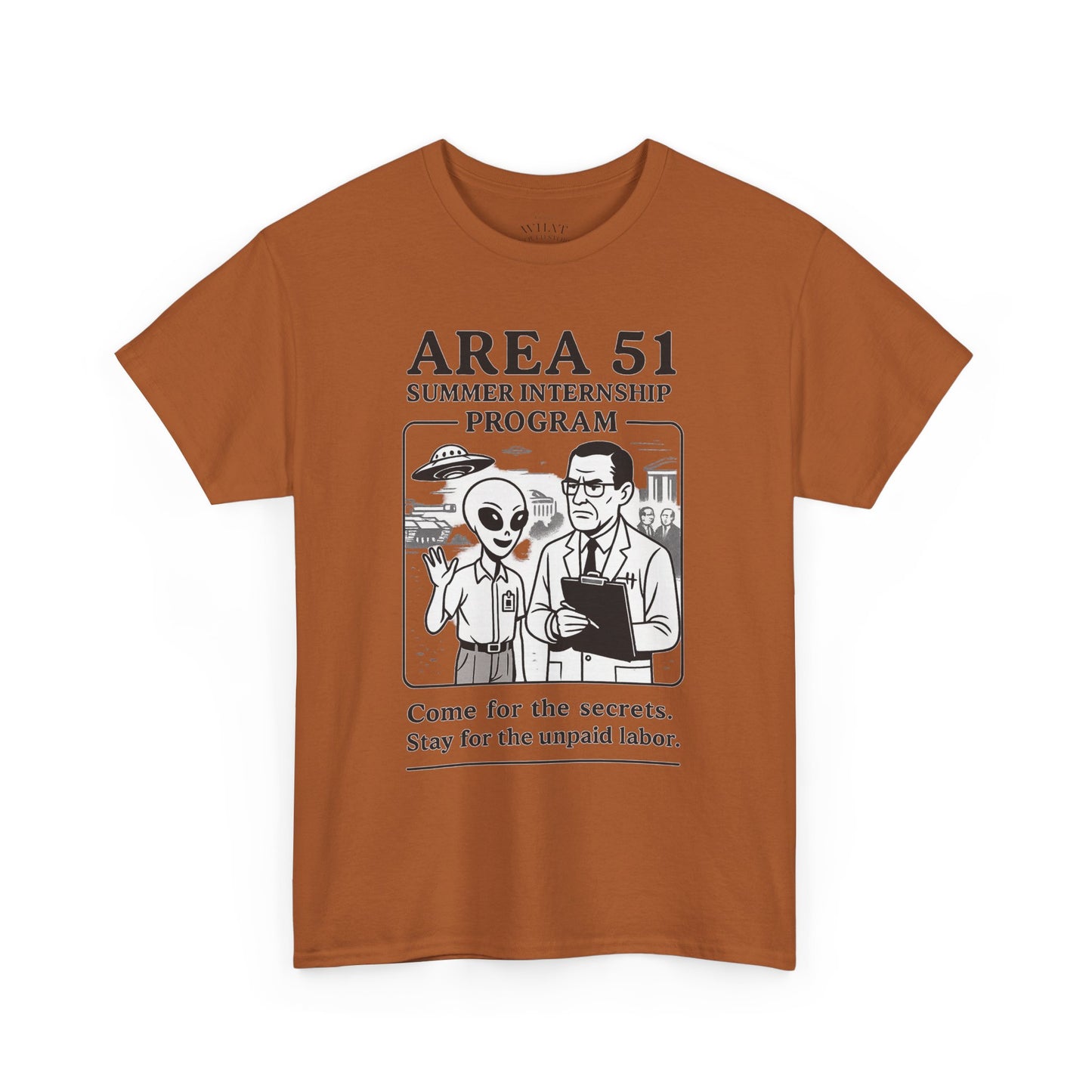 Area 51 Summer Internship