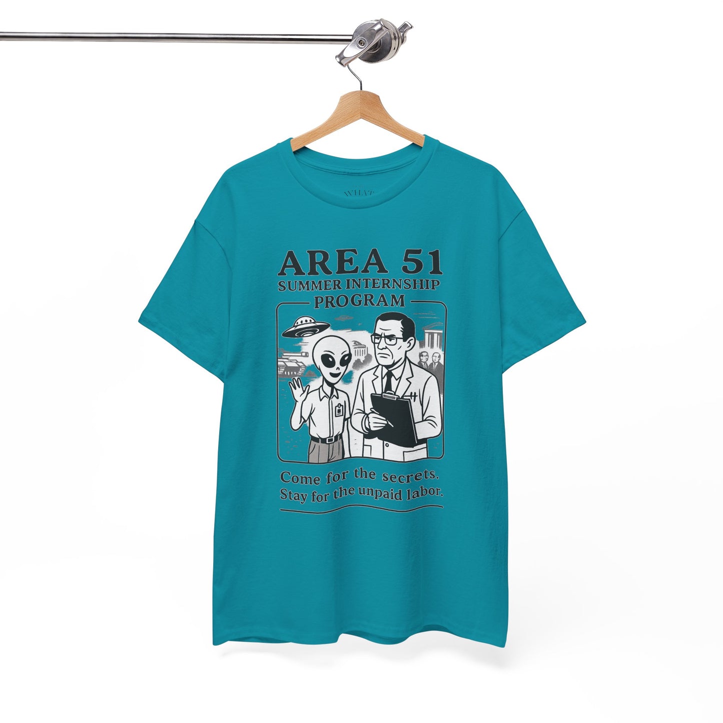 Area 51 Summer Internship