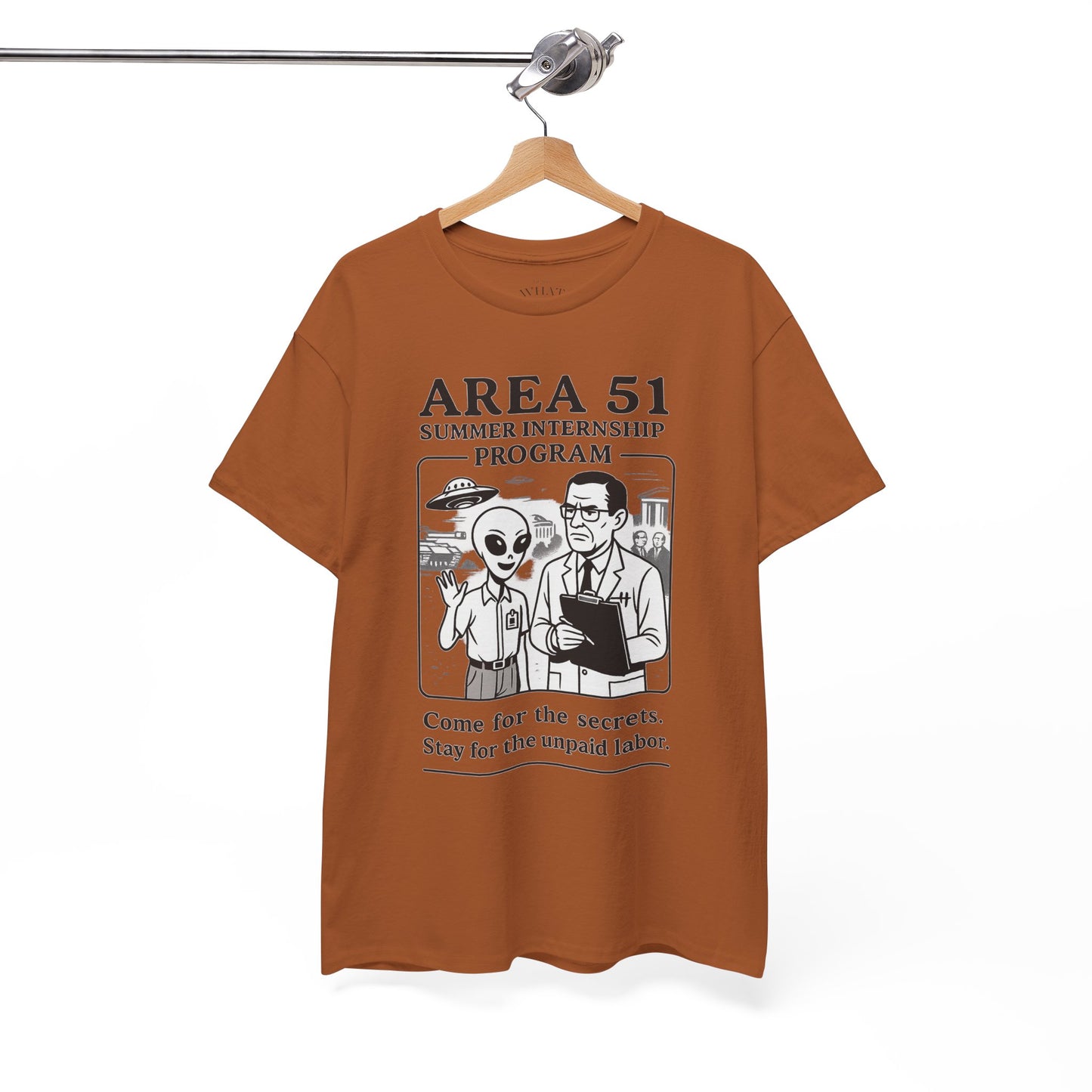 Area 51 Summer Internship