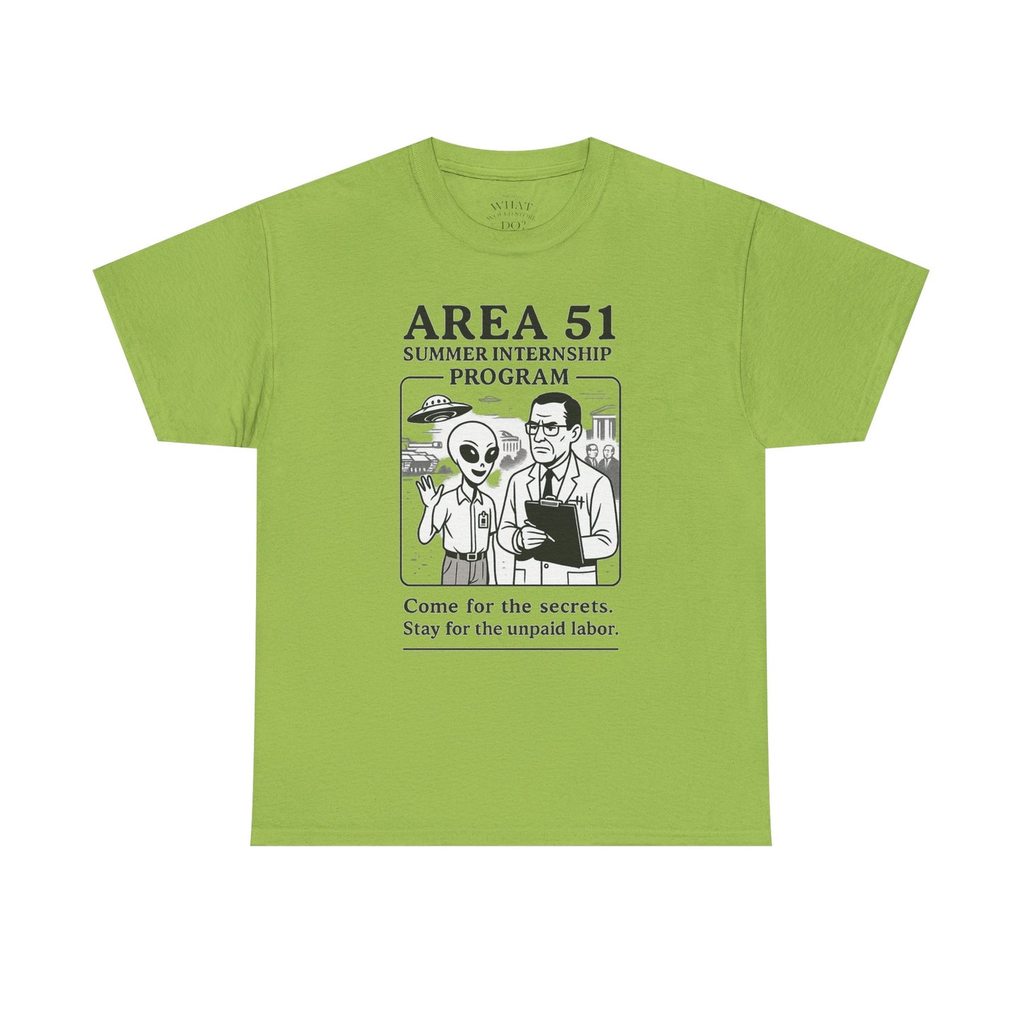 Area 51 Summer Internship