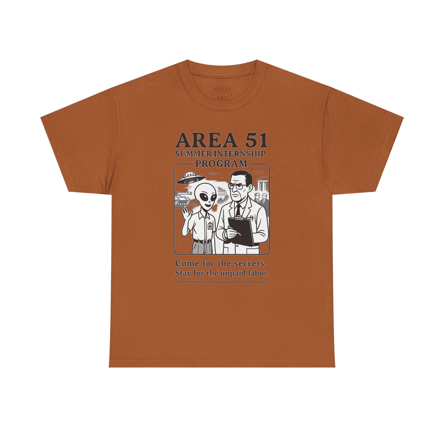 Area 51 Summer Internship