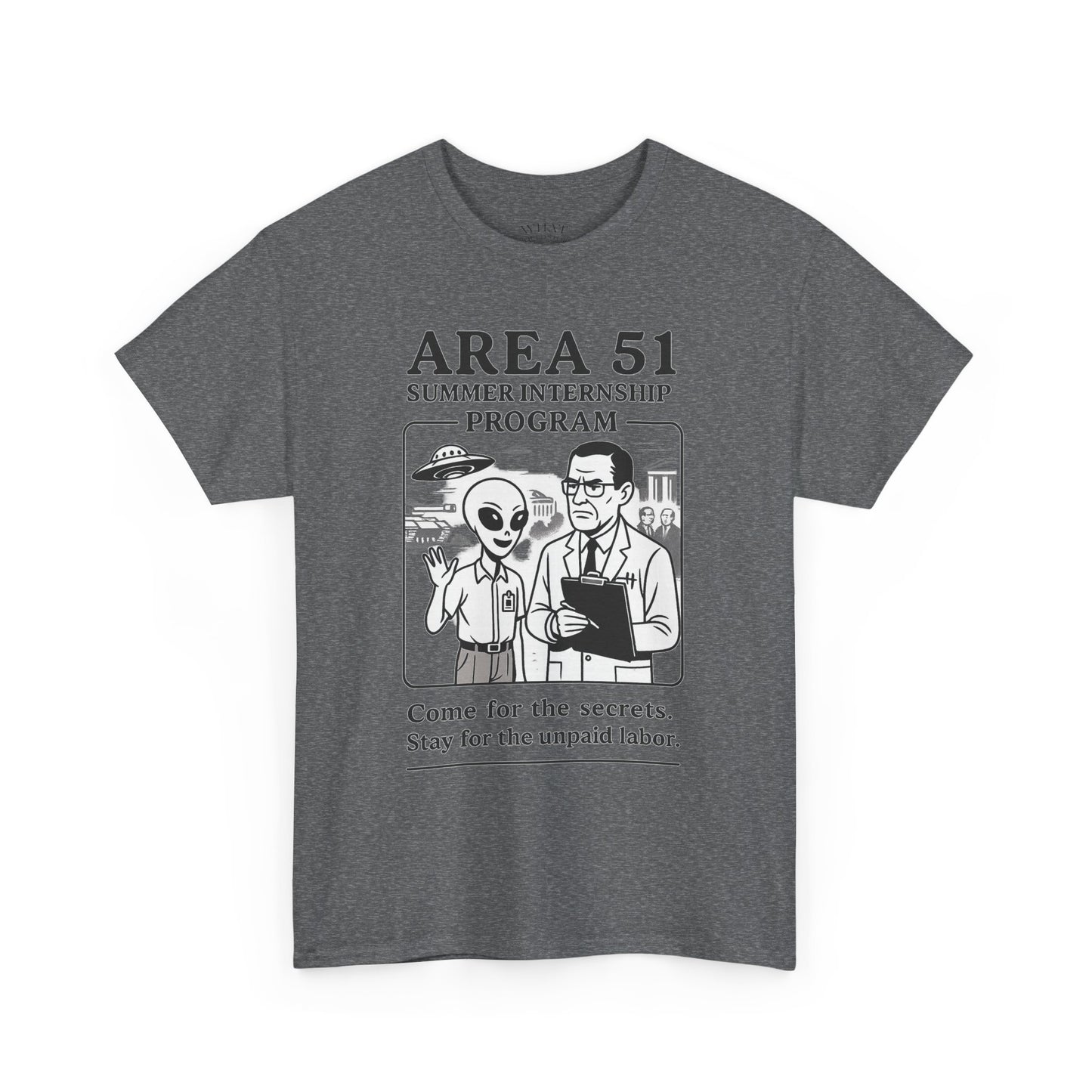 Area 51 Summer Internship