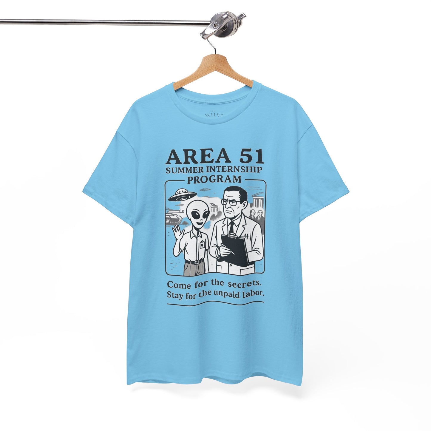 Area 51 Summer Internship