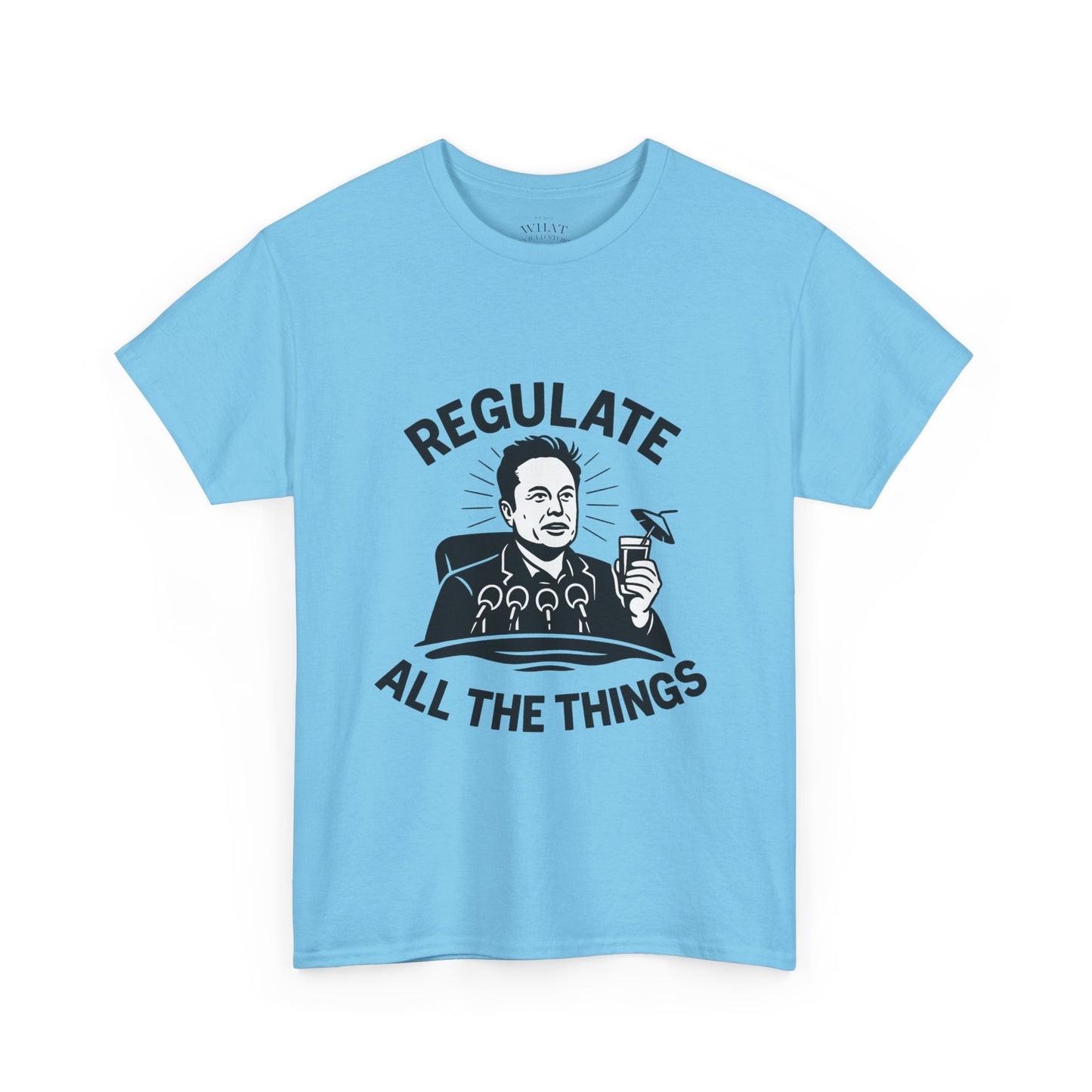 Elon The Regulator?
