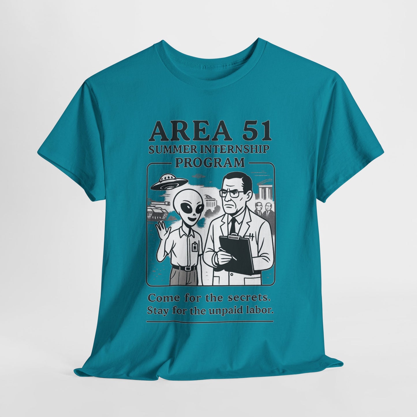 Area 51 Summer Internship