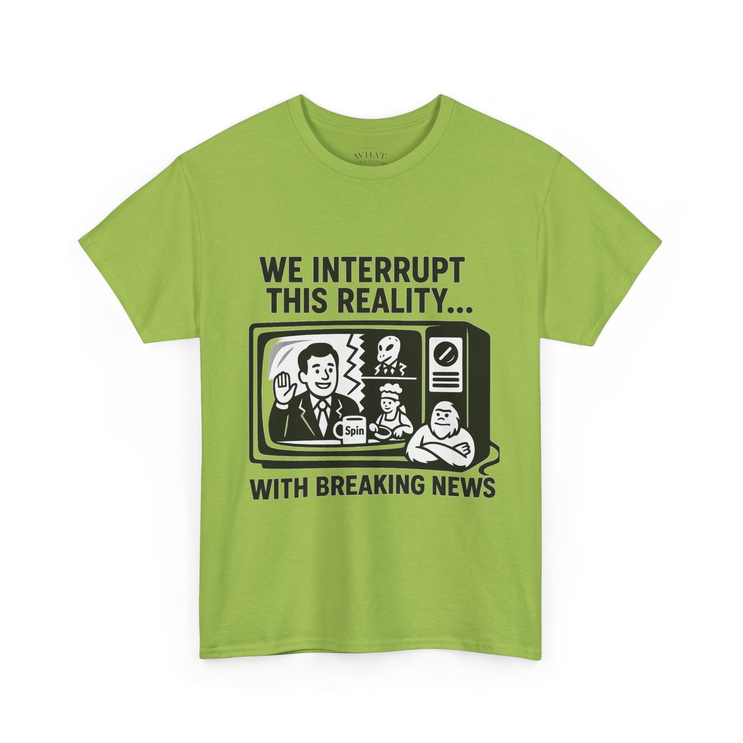 Fake News - Interrupt Reality