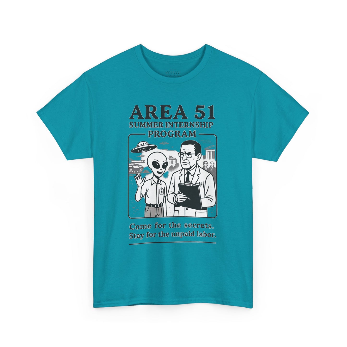 Area 51 Summer Internship