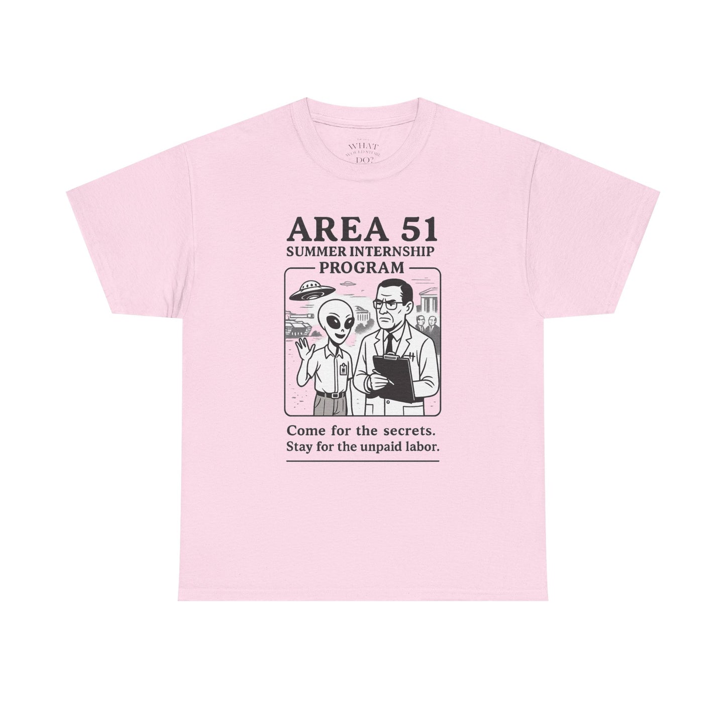 Area 51 Summer Internship