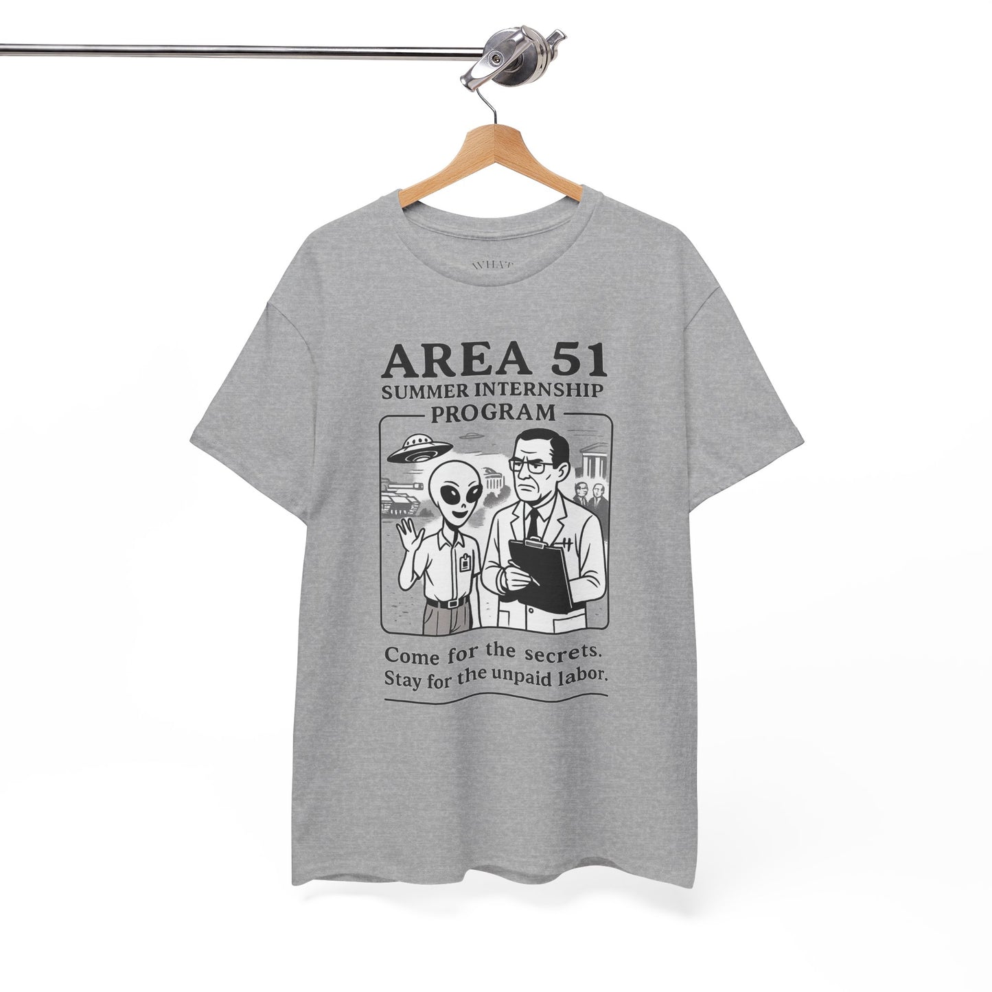 Area 51 Summer Internship
